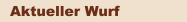 Aktueller Wurf